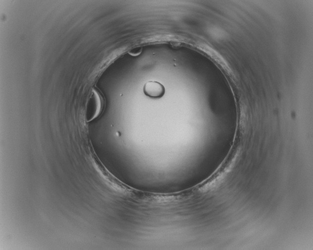 X0000071330849200607141904