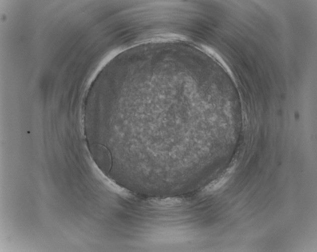 X0000071330851200607141904