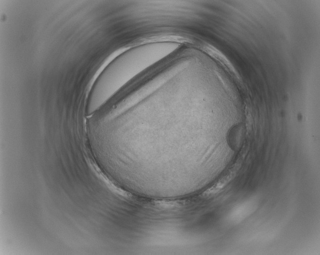 X0000071330852200607141904