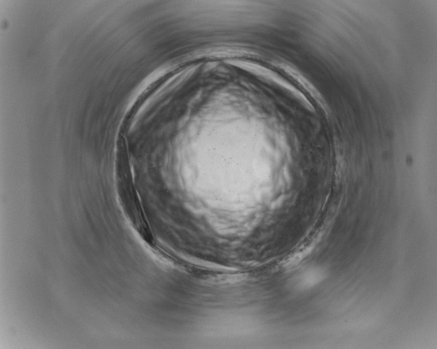 X0000071330853200607141904