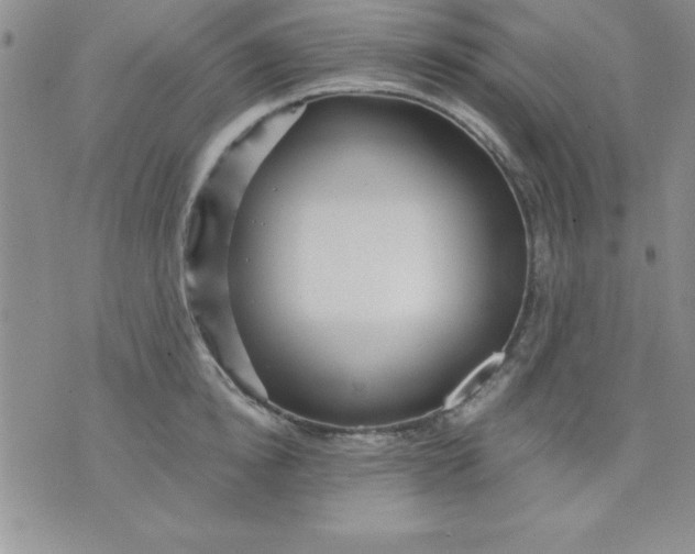 X0000071330854200607141904