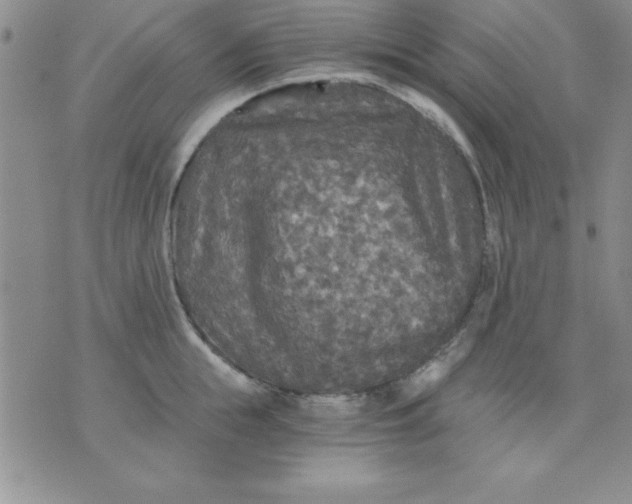 X0000071330855200607141904