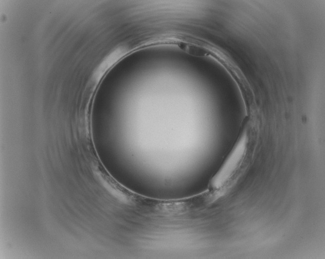 X0000071330858200607141904