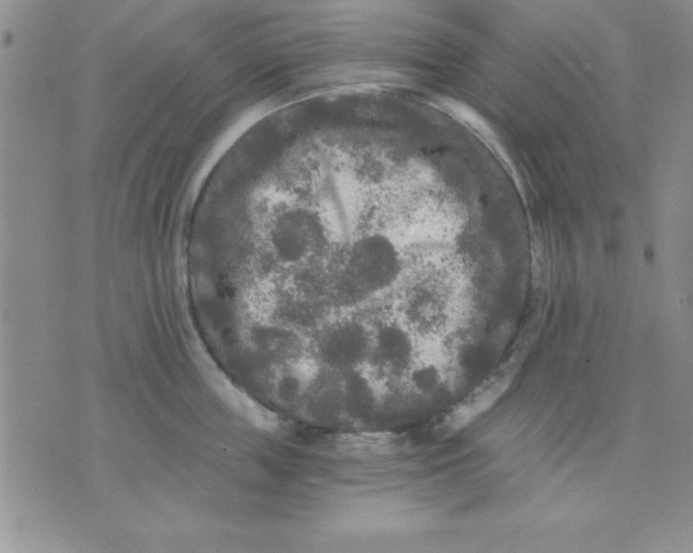 X0000071330859200607141904