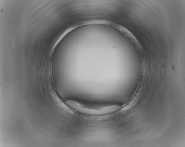 X0000071330860200607141904