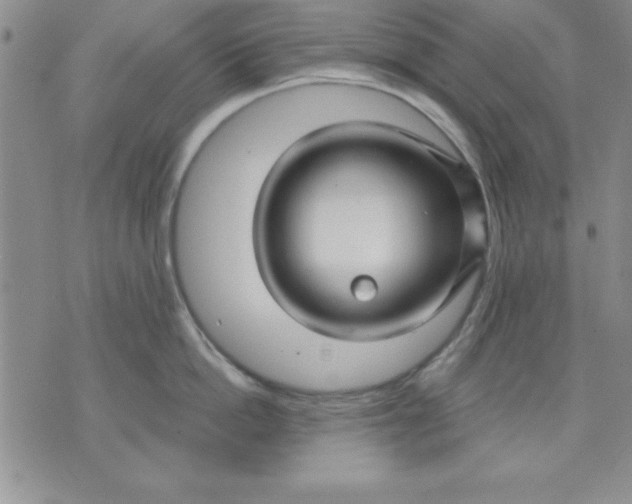 X0000071330862200607141904