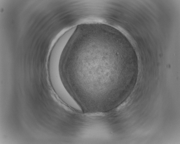 X0000071330864200607141904