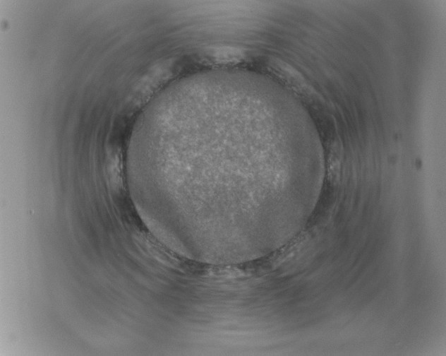 X0000071330866200607141903