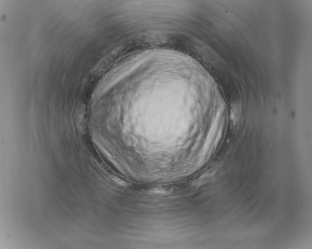 X0000071330867200607141903