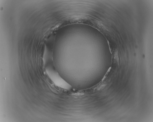 X0000071330868200607141903