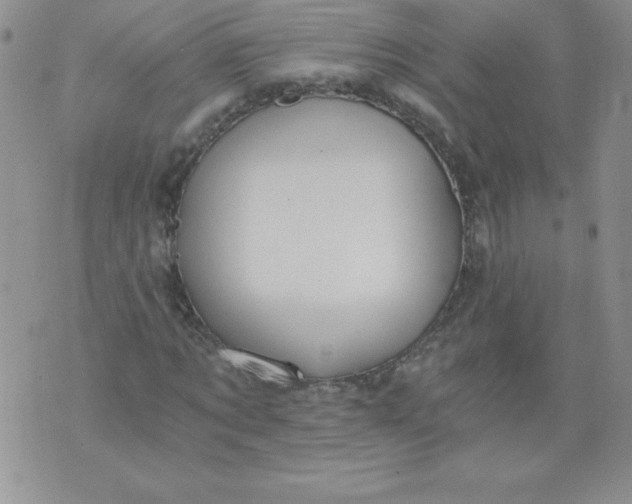 X0000071330869200607141903