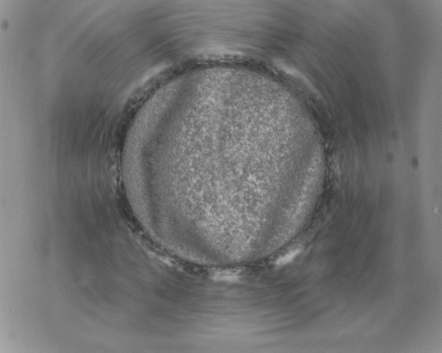 X0000071330870200607141903