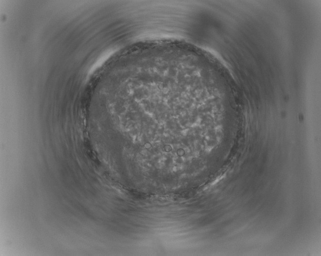 X0000071330871200607141903