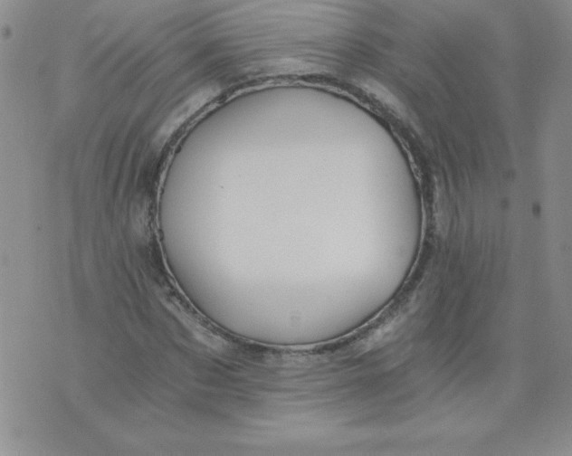 X0000071330873200607141903