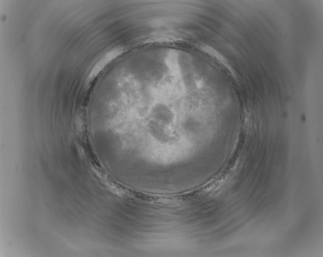 X0000071330874200607141903