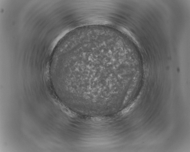 X0000071330875200607141903