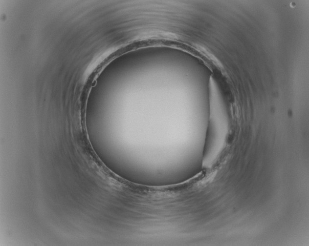 X0000071330877200607141903