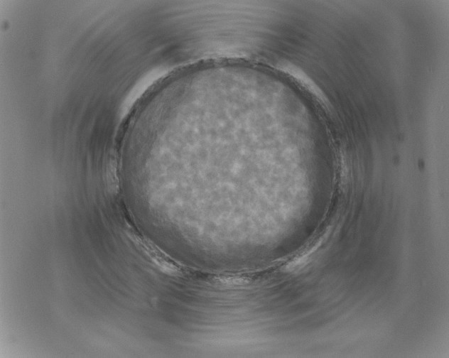 X0000071330878200607141903