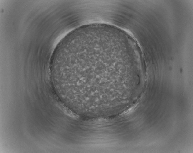 X0000071330879200607141903