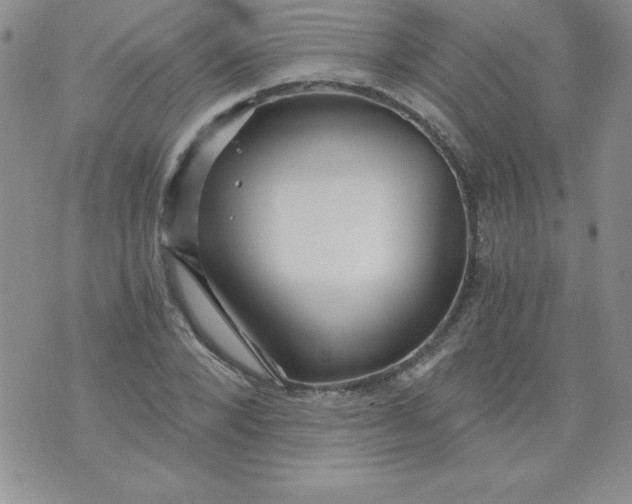 X0000071330880200607141903