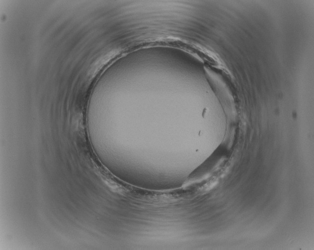 X0000071330881200607141903