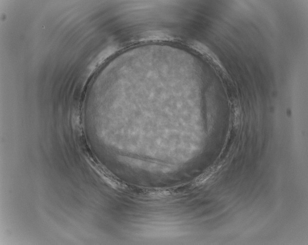 X0000071330882200607141903