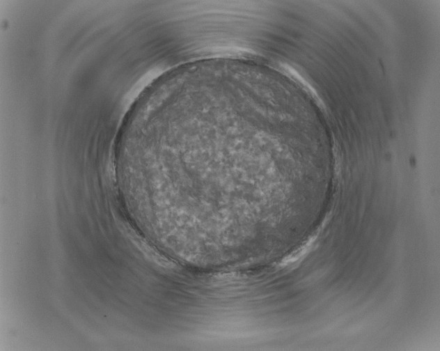 X0000071330883200607141903