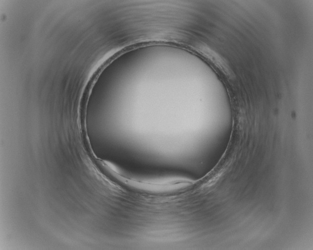 X0000071330884200607141903