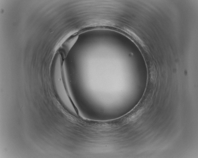 X0000071330885200607141903