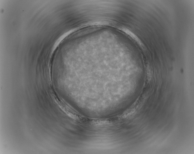 X0000071330886200607141903