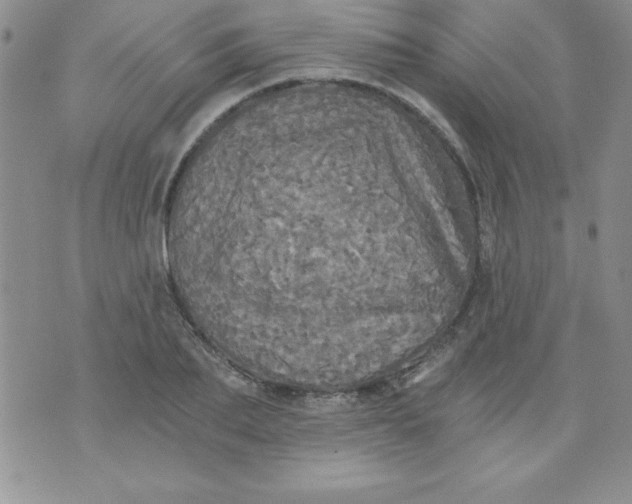 X0000071330887200607141903