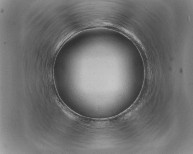 X0000071330889200607141903