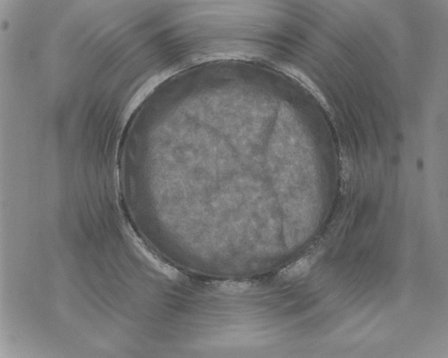 X0000071330890200607141903