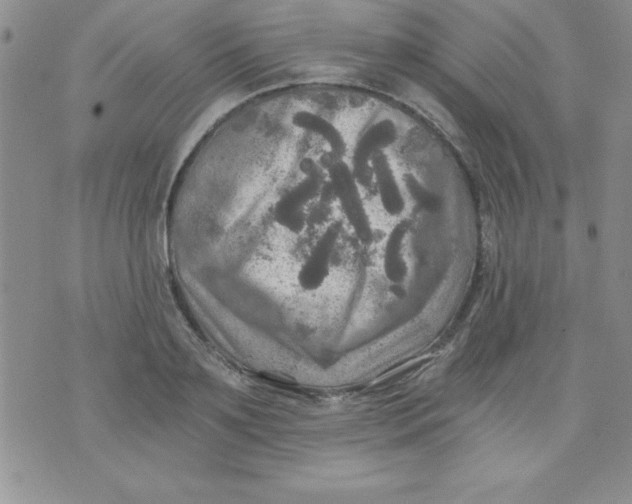 X0000071330891200607141903