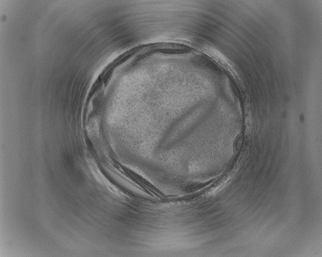 X0000071330892200607141903