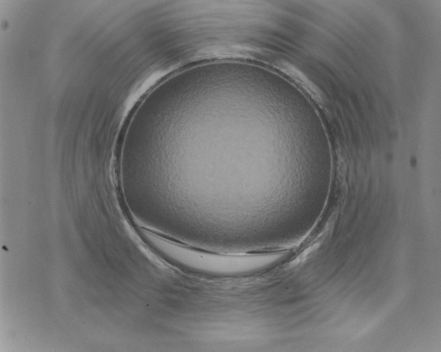 X0000071330893200607141902