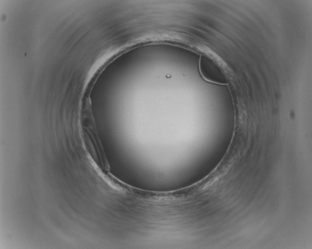 X0000071330894200607141902