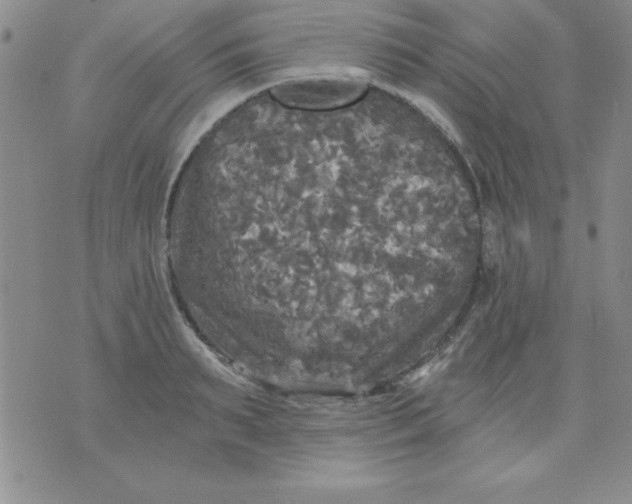 X0000071330895200607141902