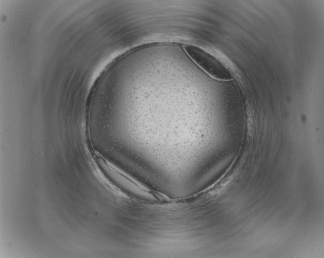 X0000071330896200607141902