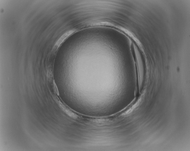 X0000071330897200607141902