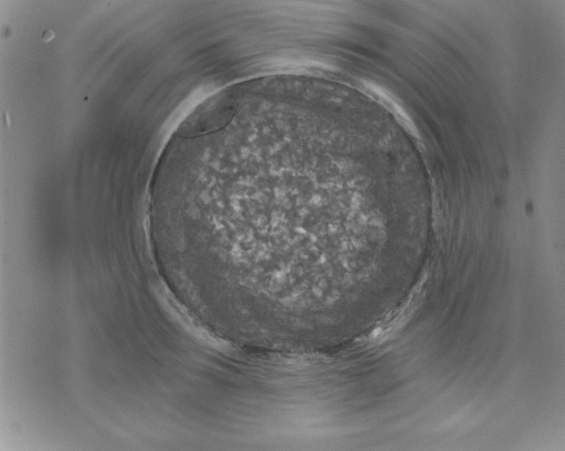 X0000071330899200607141902