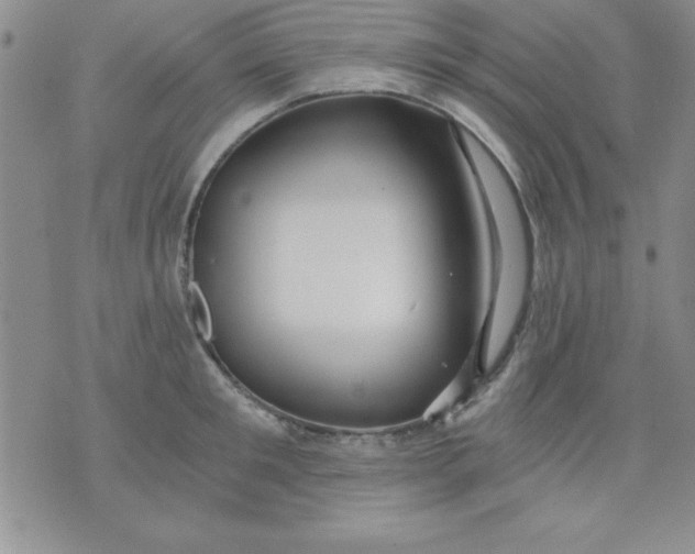 X0000071330901200607141902