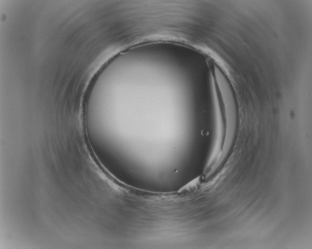 X0000071330902200607141902