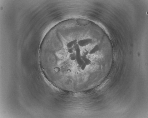 X0000071330903200607141902