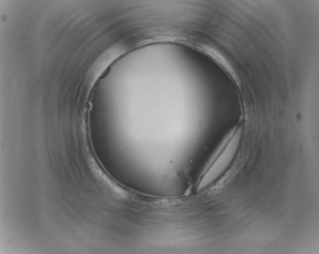 X0000071330906200607141902