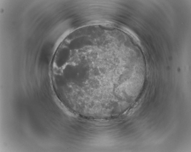 X0000071330907200607141902