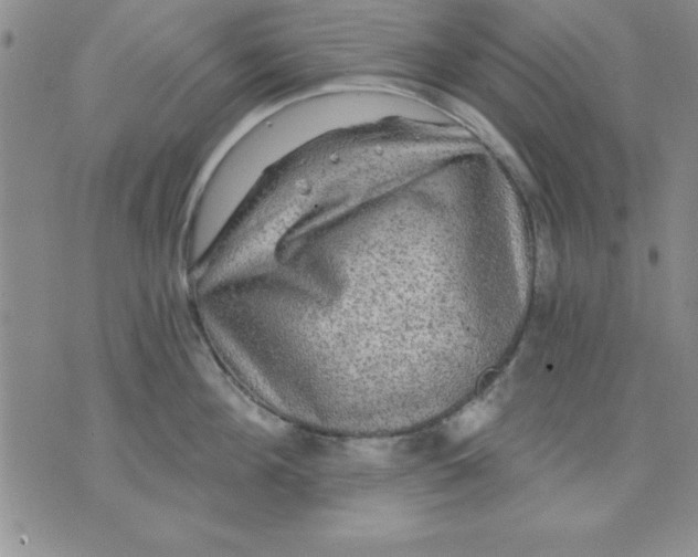 X0000071330908200607141902