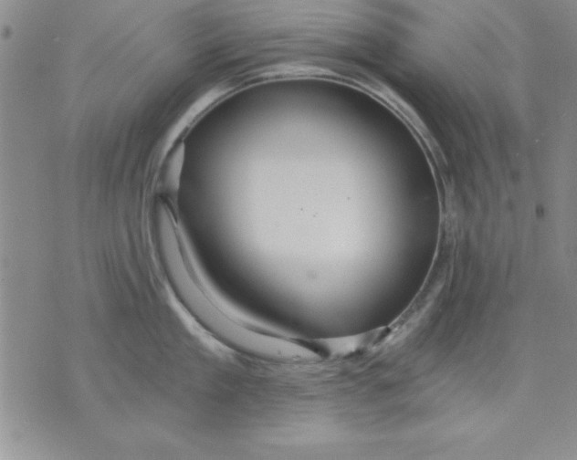 X0000071330909200607141902