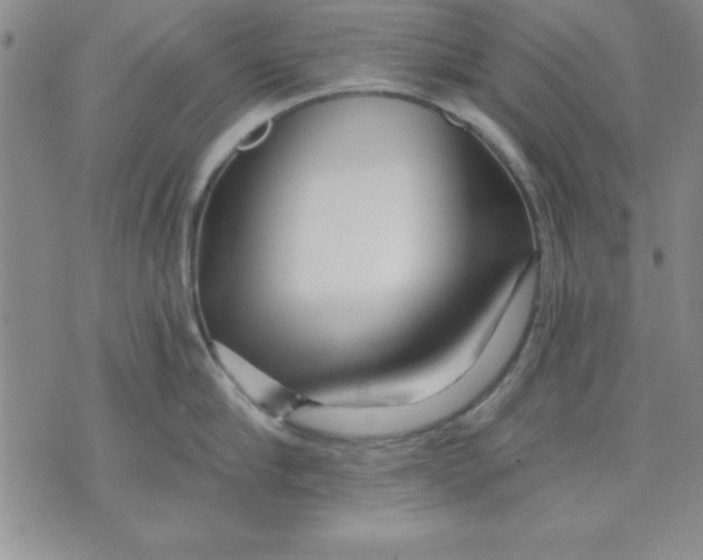 X0000071330910200607141902