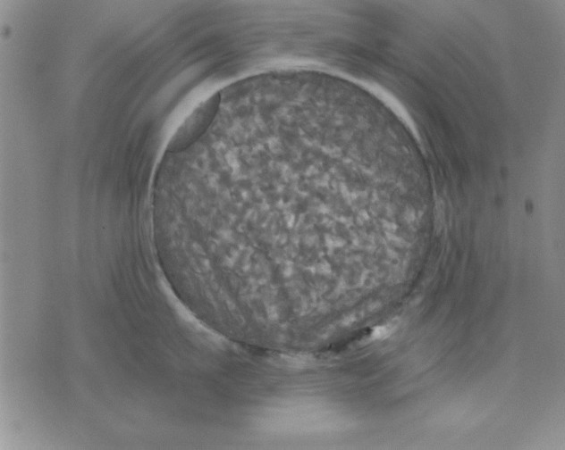 X0000071330911200607141902